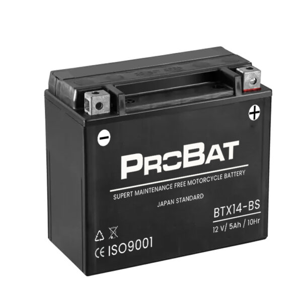 Batterie Probat Moto